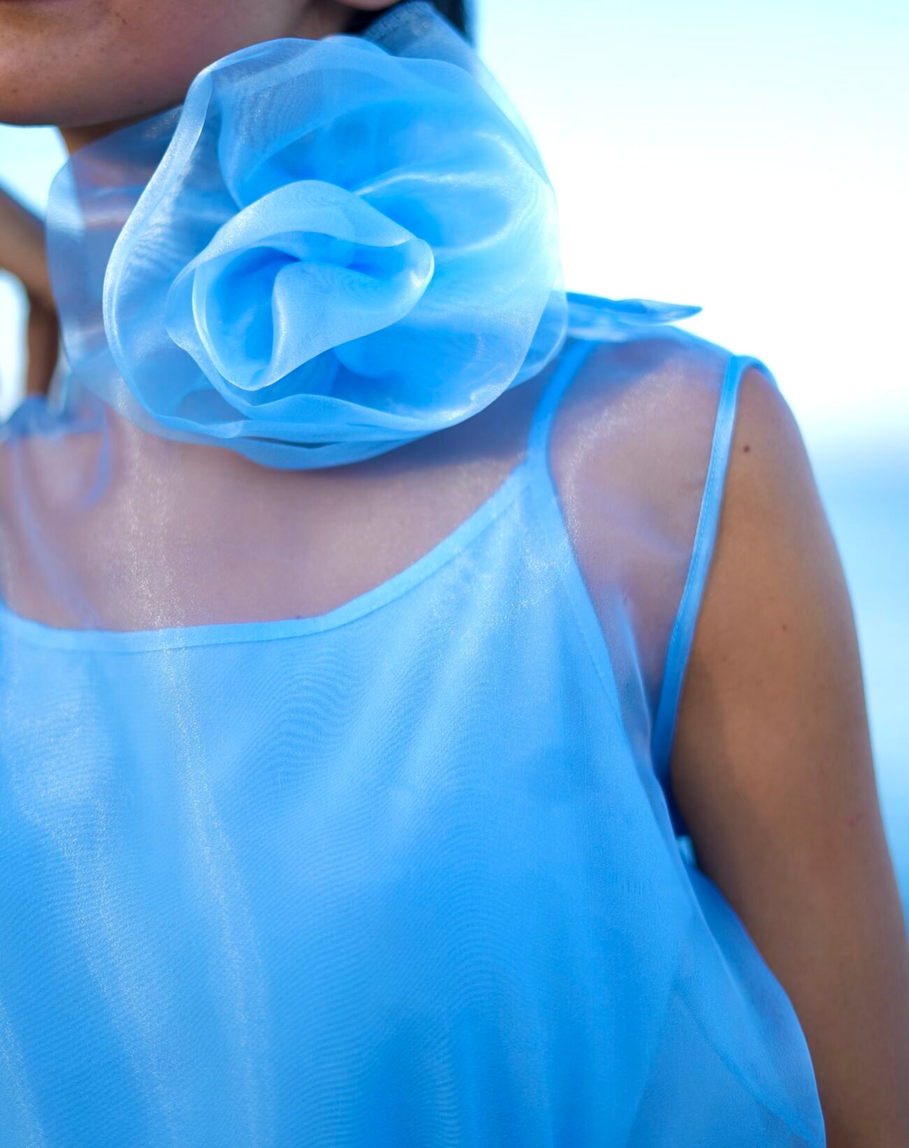 Sheer Organza Top with Flower Detail - Image 2